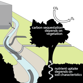 sustainable sites thumbnail